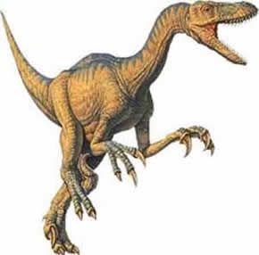 Velociraptor » DINOSAURIOPEDIA
