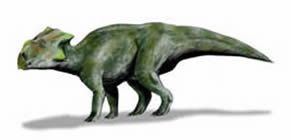 Ajkaceratops 