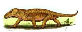 Anteosaurus 