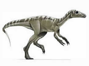 eoraptor 