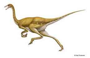 Resultado de imagen de gallimimus