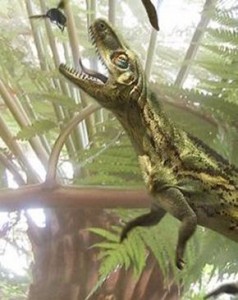 Euparkeria 